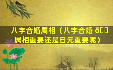 八字合婚属相（八字合婚 🐠 属相重要还是日元重要呢）